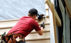 Best Steel Siding Installation  in Warroad, MN